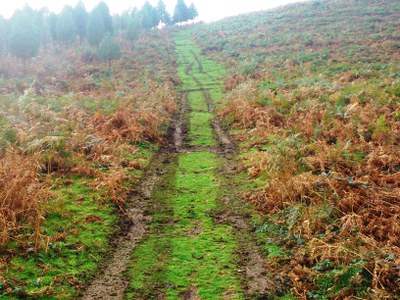 Aisia eta nekazal ingurunea