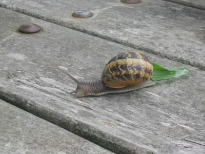 "Eibar aldeko euskara hiztegia" argazki digital lehiaketa