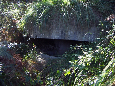 Gerrako bunkerrak ezagutzeko urteeria