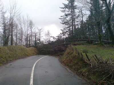 Zikloiak kalteak eragin ditu Eibarren ere