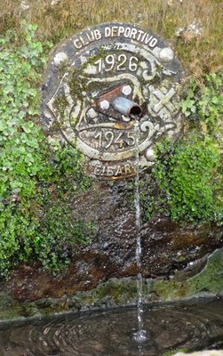 1965eko haziak, egungo hortentsiak