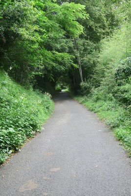 Donostian sartu beharrik gabeko Donostia