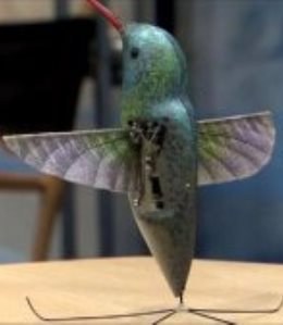 Droneak, jaun eta jabe