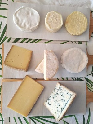 Eman ta zabal zazu munduan gaztaia