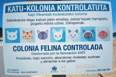 Filologia vs felinologia