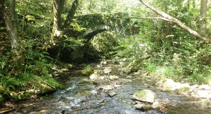 Landondo Arrata ibaia
