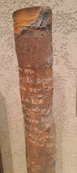 Nevada. Enbor idatzia