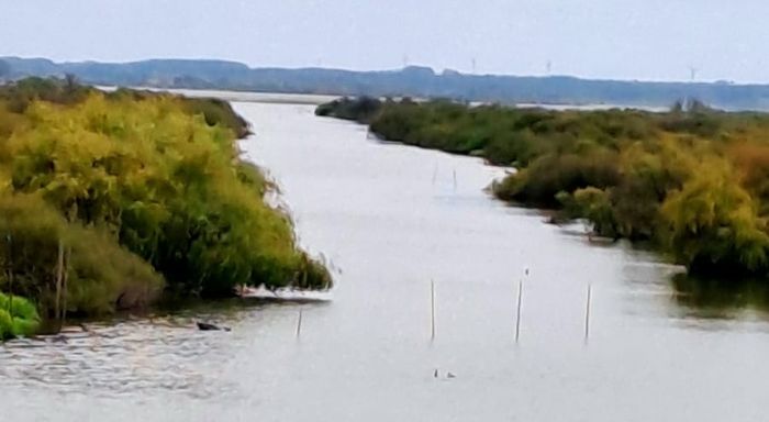 Lac de Grand Lieu2