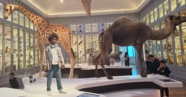 Natura Zientzien Museoa mutikoa