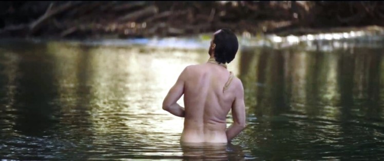 The power of the dog