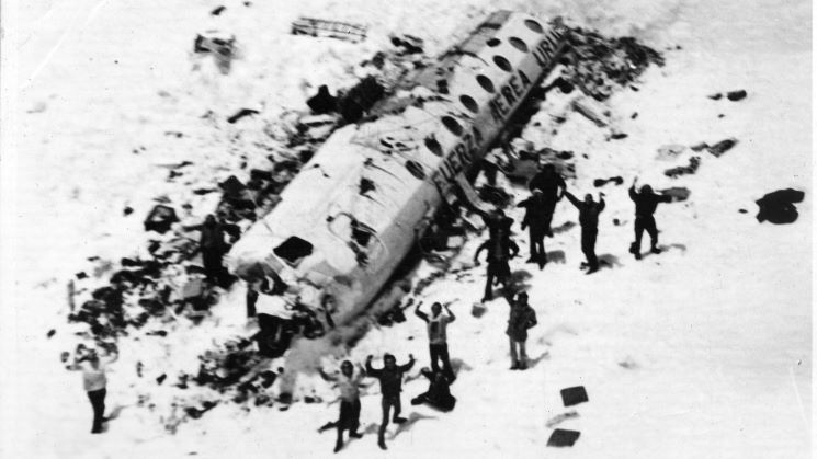 Andeetako bizirauleak