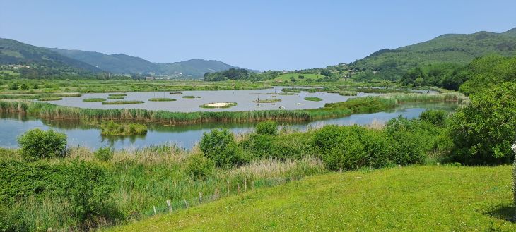 Bird Center