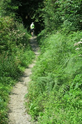 Landarbaso, Donostia berdea