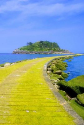 Lekeitioko Lazunarria