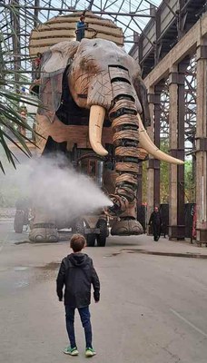 Ontzioletako elefantea