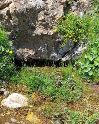 Sekula elkar ezagutuko ez duten larrekideak