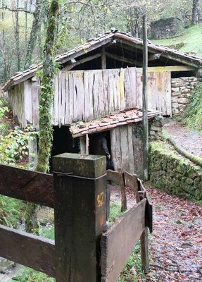 Zerrategi "adimenduna"