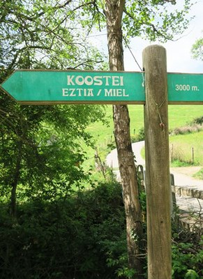 Zuhaitzak txorrotxioka eta errekastoak ur murmurio