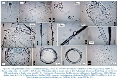 Covid-19 txertoetan dagoena