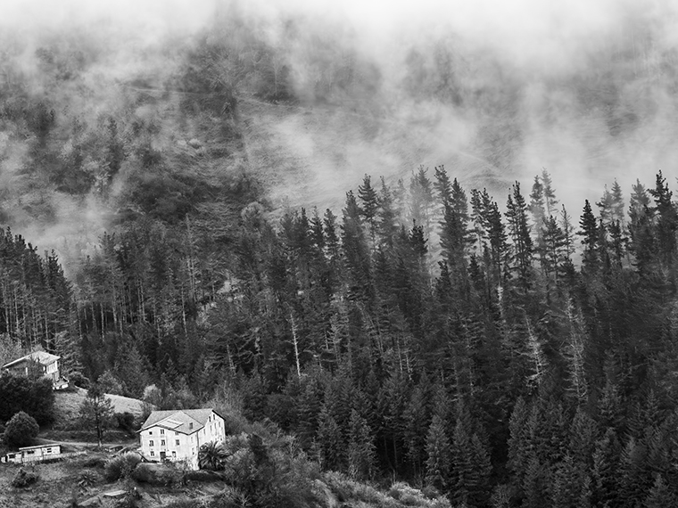 _DSC1246-MEJORADO-NRBN.jpg _DSC1246-MEJORADO-NRBN.jpg