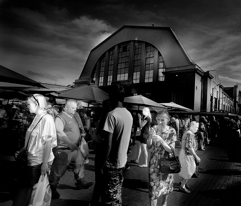 baltiko008 baltiko008