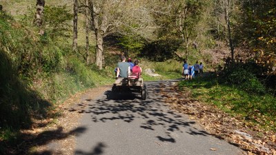 Antolaketaren beharra