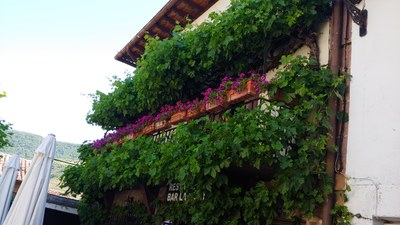 Barkatu: gertu al da herriko kaxkoa?