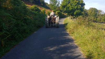 Dibertigarri eta beste -garri batzuk