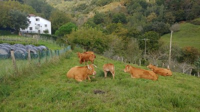 Aste honetan irakurri eta entzundakotik