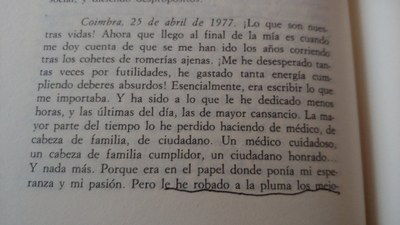 Sei hilabeteko itzalaldia