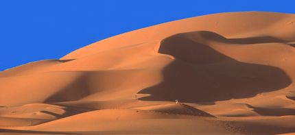 Sahara6.jpg