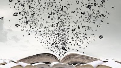 Hitz bihurrituen ondoeza