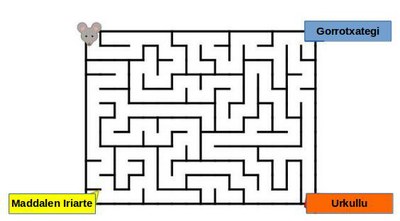 EAEko hauteskundeak 2020, boto azalpena