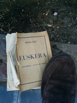 Ia 100 urteko liburu bat, kalean aurkitua