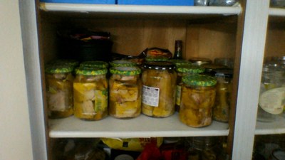 Atuna, jantoki sozialak, termoregulaziñua eta solisombrak