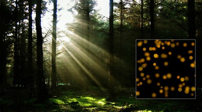 Eguzki arraixuak oratu nahixan