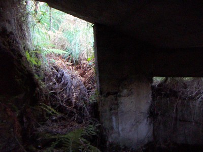 aginaga06.jpg aginaga06.jpg