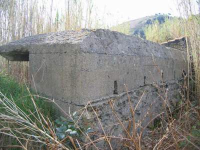 bdh02-arena.jpg bdh02-arena.jpg