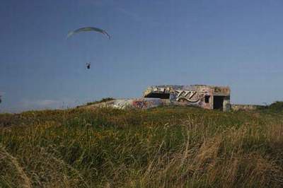 bdh10-galea.jpg bdh10-galea.jpg