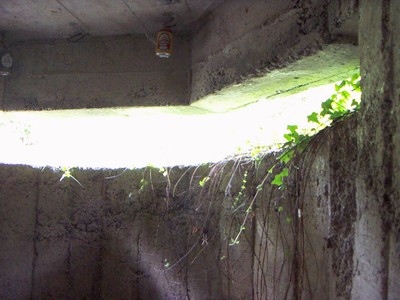 iparragirre4.jpg iparragirre4.jpg