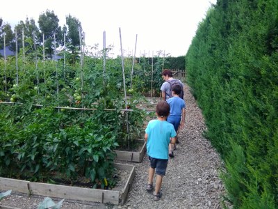 Ixkuak eta zentzumenak