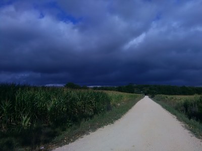 Oporrak Ozetan (Araba)