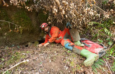 Percibo gatera (Martín sin su pantín)