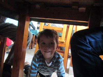 Tomaxen berbetia. Statu quo.