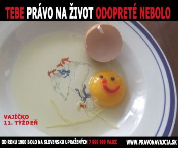 Pravo na zivot 4 Pravo na zivot 4
