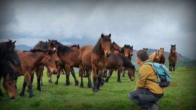 100 mendien lehiaketa - 2021eko igoerak