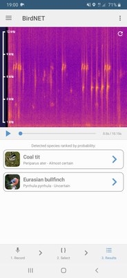 Txorien kantuak identifikatzeko aplikazio bi: Merlin eta BirdNet