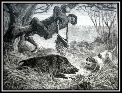 Ehizaren egoera (eta naturaren kontserbazioa) 1840an Bizkai-Gipuzkoan