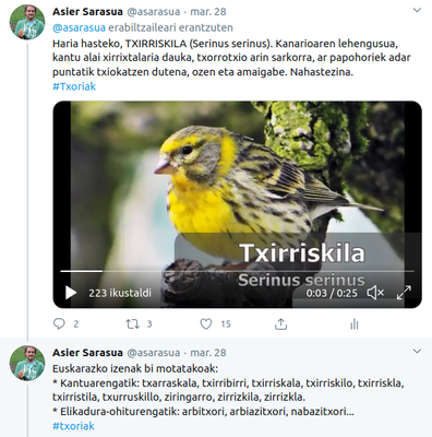 Euskal Herriko txori batzuen kantuak eta izenak #TxoriaTxio traolarekin