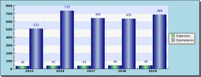Eibarko hegazti habiagileen urteroko jarraipena, SACRE 2019